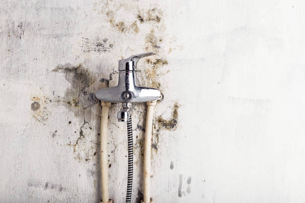 Heritage Lake, IL Mold Remediation Company