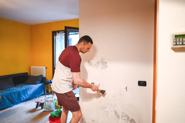Best Residential Mold Remediation in Heritage Lake, IL
